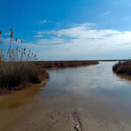 Rincon Del Delta, Apartamento En El Delta Del Ebro, Playa Trabucador Amposta, Tarragona L'Eucaliptus Esterno foto