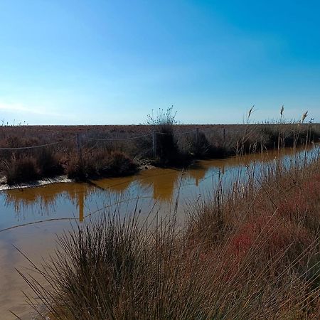 Rincon Del Delta, Apartamento En El Delta Del Ebro, Playa Trabucador Amposta, Tarragona L'Eucaliptus Esterno foto