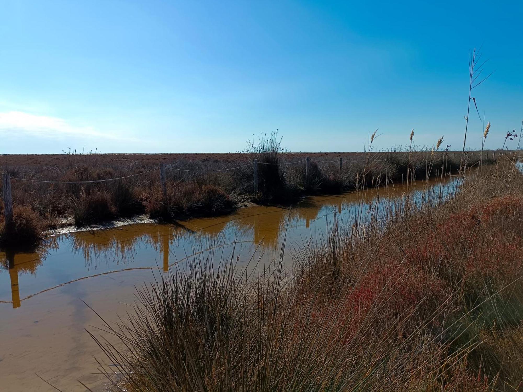 Rincon Del Delta, Apartamento En El Delta Del Ebro, Playa Trabucador Amposta, Tarragona L'Eucaliptus Esterno foto